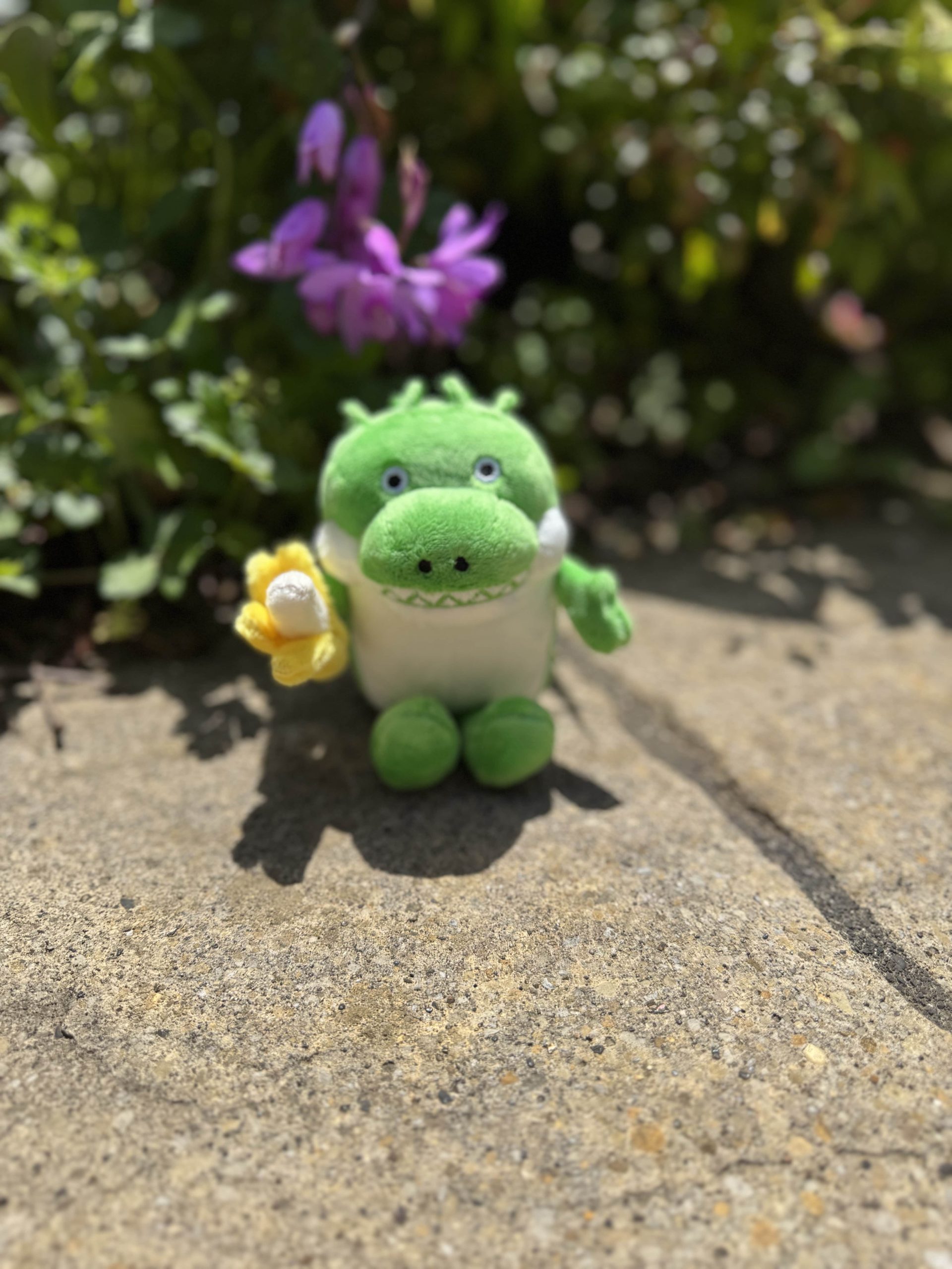 伊豆旅行🌵①